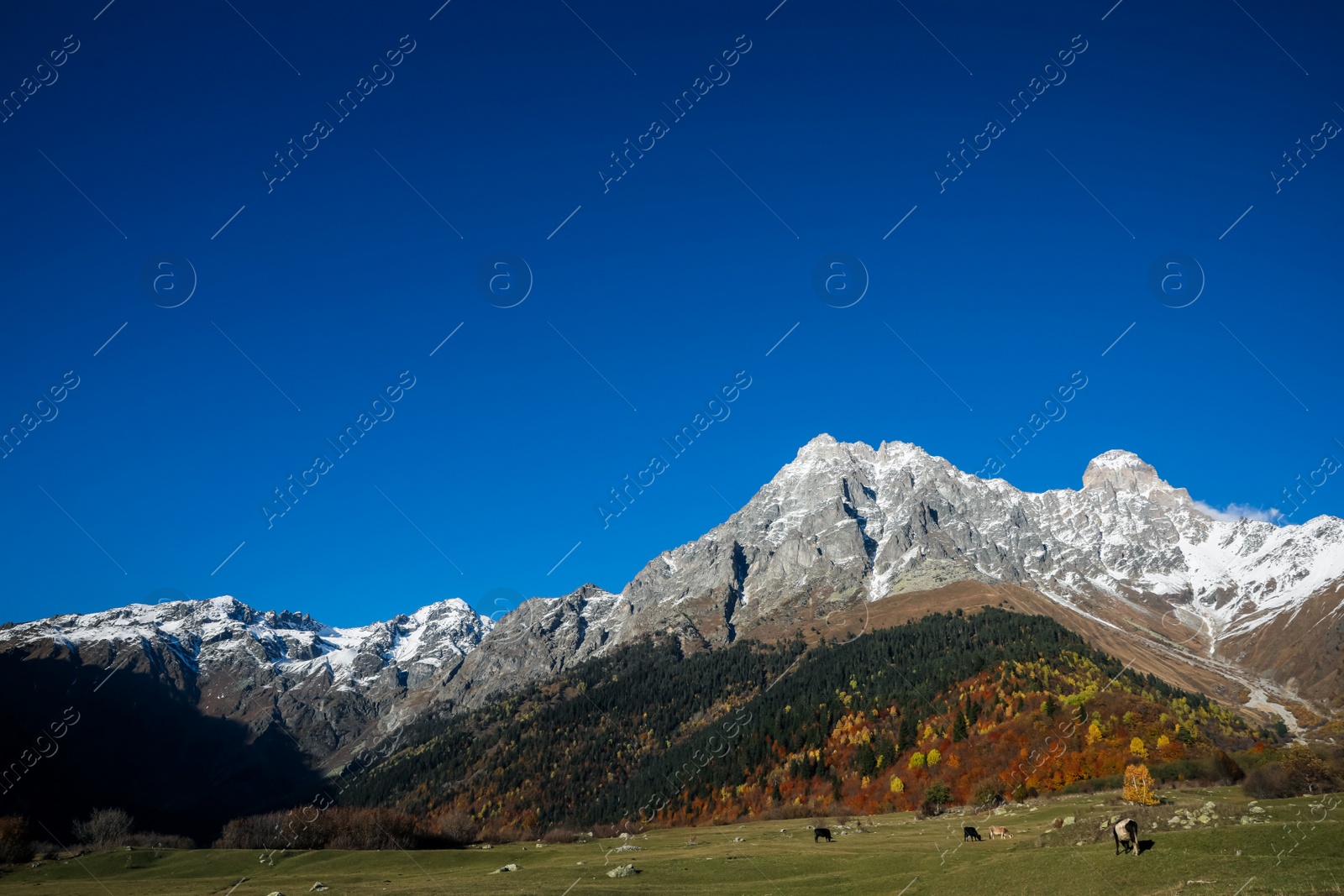 Photo of Picturesque view of beautiful high mountains under blue sky on sunny day