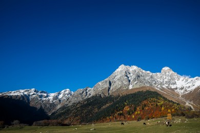 Photo of Picturesque view of beautiful high mountains under blue sky on sunny day