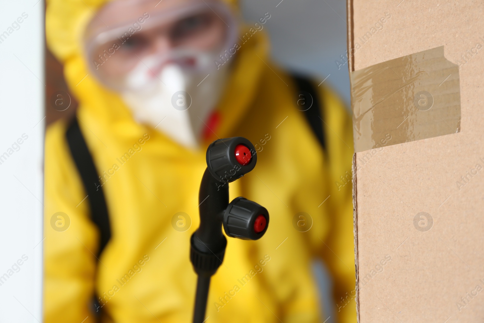 Photo of Pest control worker spraying pesticide indoors, focus on nozzle