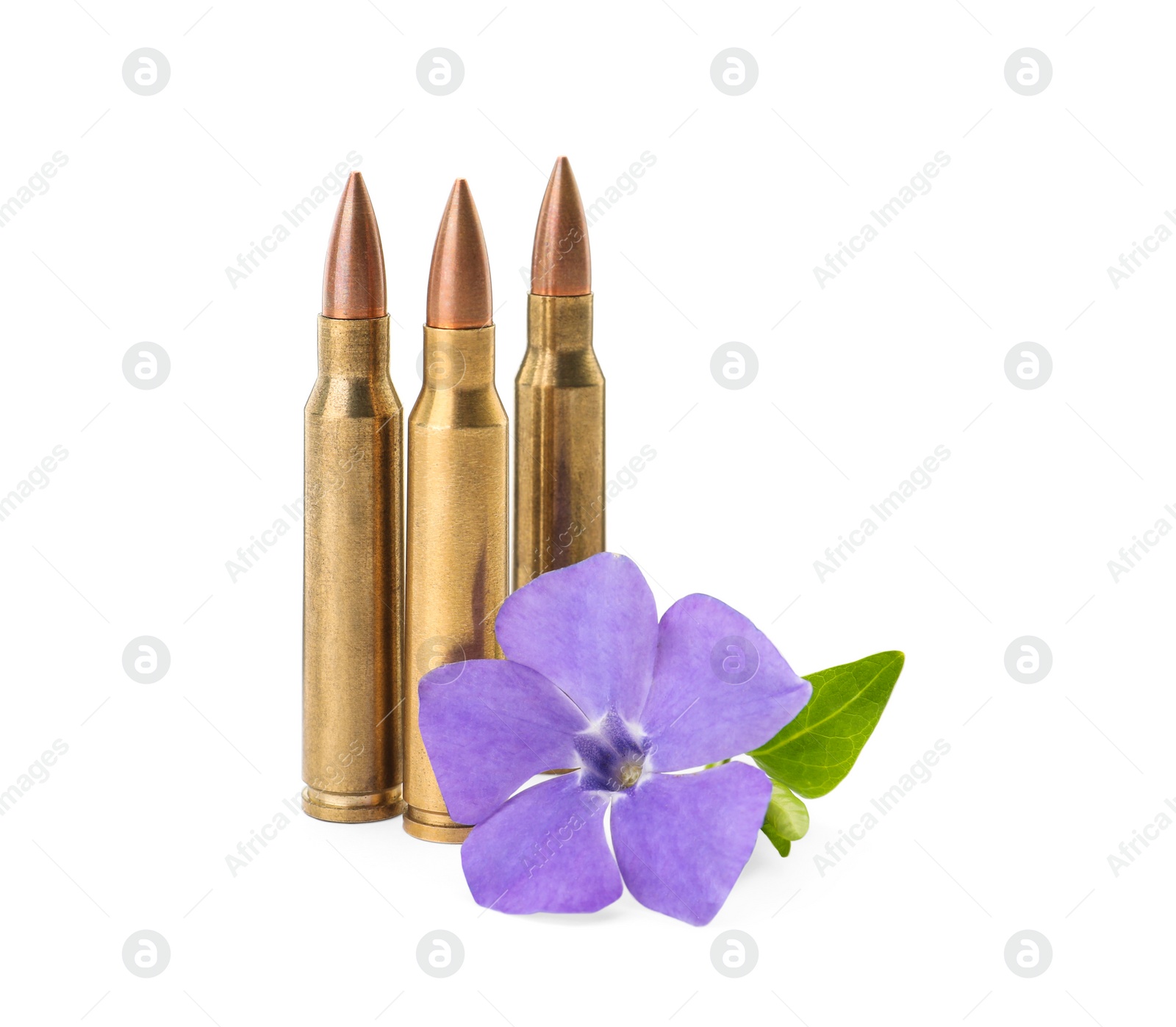 Photo of Bullets and beautiful flower on white background. Peace instead of war