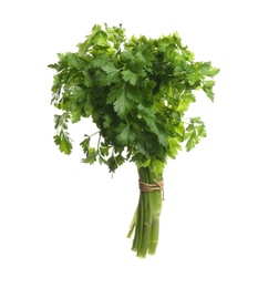 Bunch of fresh green parsley on white background