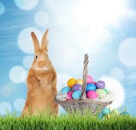 Image of Cute bunny and wicker basket with colorful Easter eggs on green grass outdoors