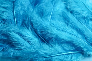 Photo of Many light blue beautiful feathers as background, closeup