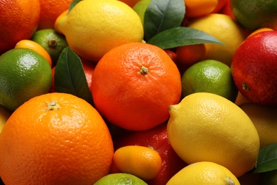 Photo of Different ripe citrus fruits as background, closeup