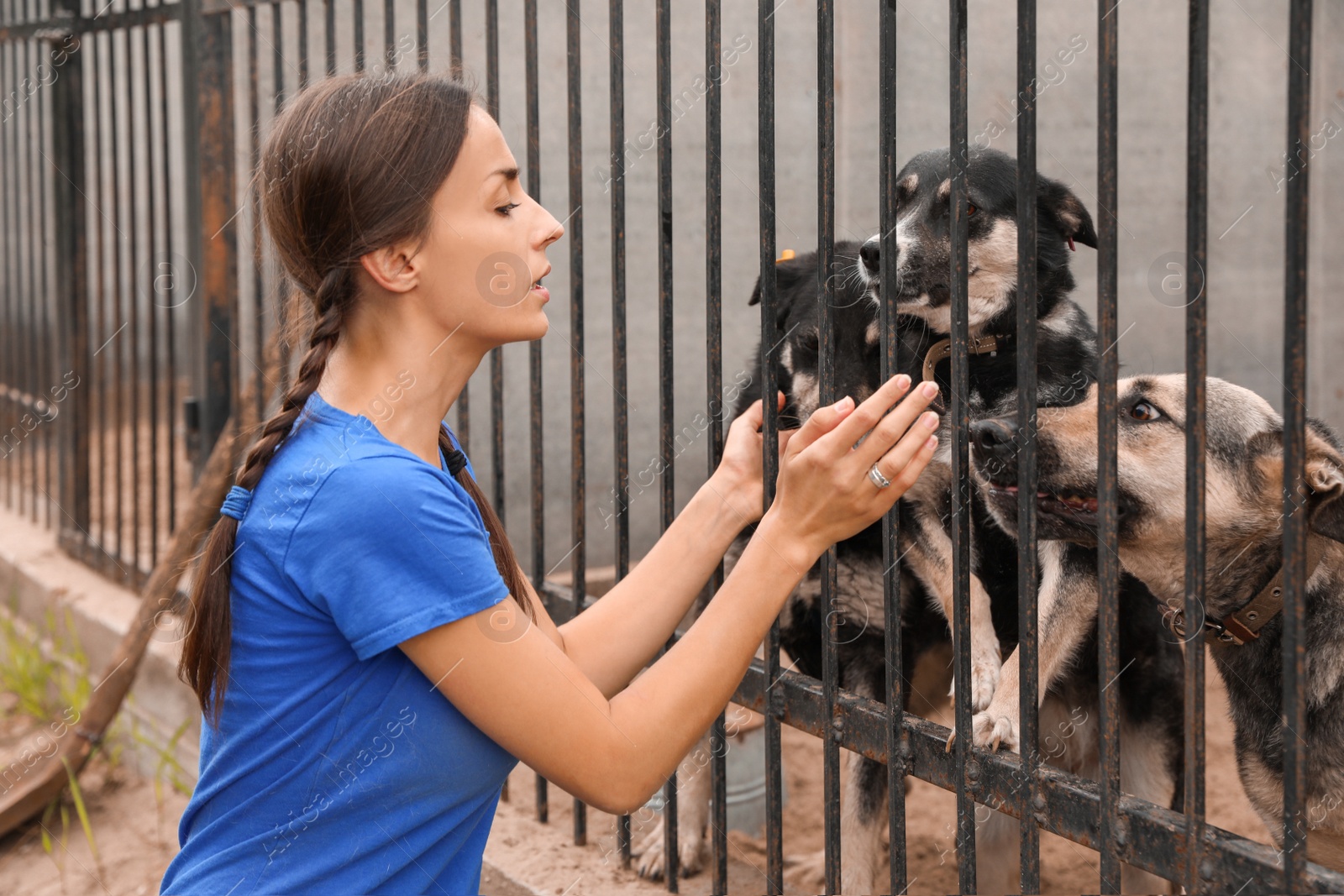 Photo of Female volunteer near dog cage at animal shelter outdoors