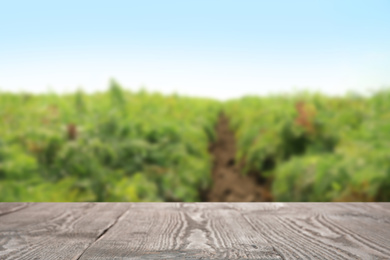 Empty wooden surface and blurred view of carrot field on sunny day. Space for text