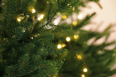 Photo of Beautiful Christmas tree with glowing fairy lights, closeup