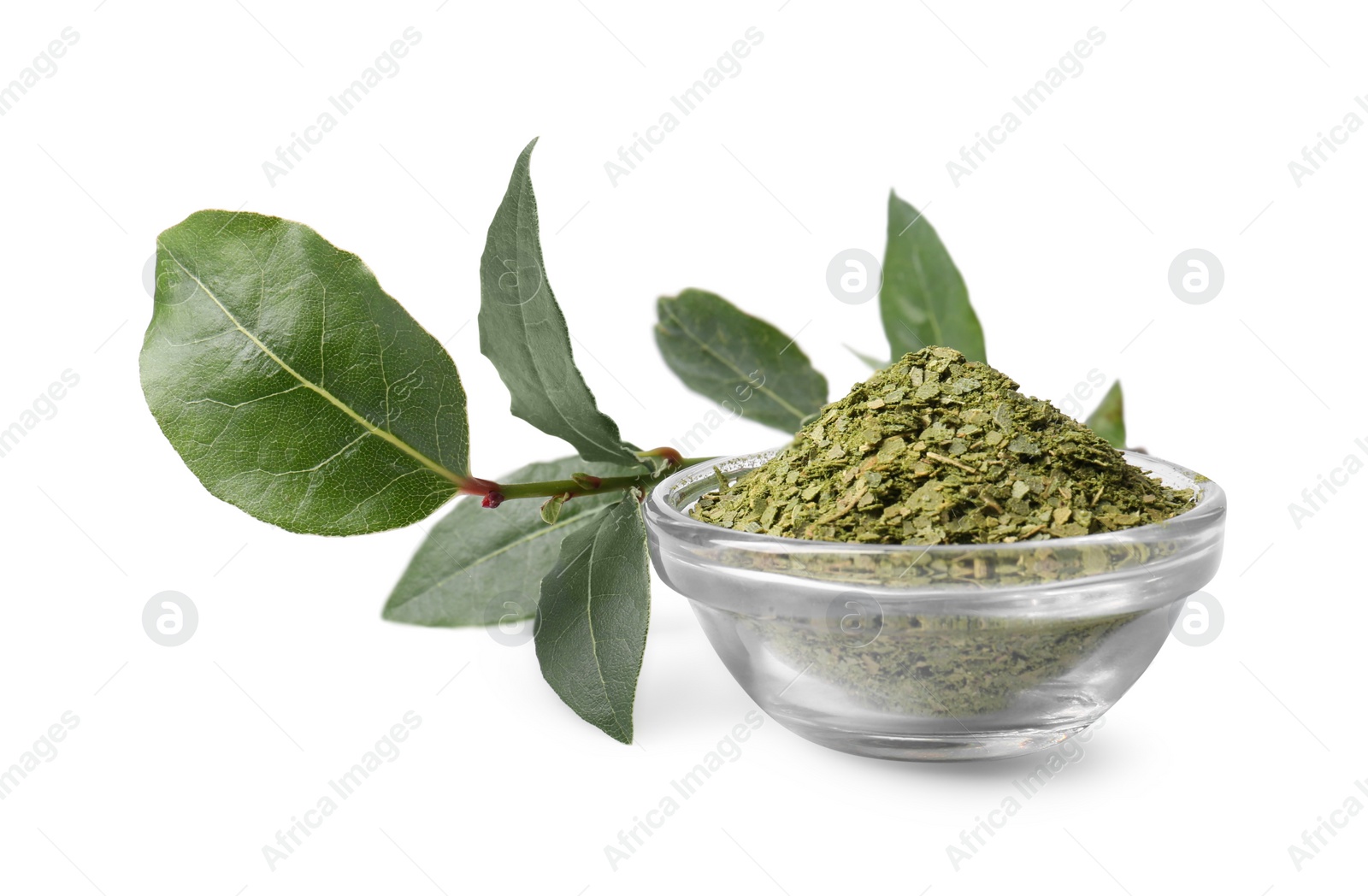 Photo of Bowl with ground bay leaves and fresh twig on white background