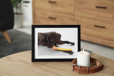 Photo of Frame with picture of dog, collar and burning candle on wooden table indoors. Pet funeral