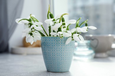 Photo of Beautiful snowdrops in vase on light grey table near window