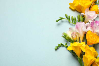 Photo of Beautiful blooming freesias on light background, flat lay. Space for text