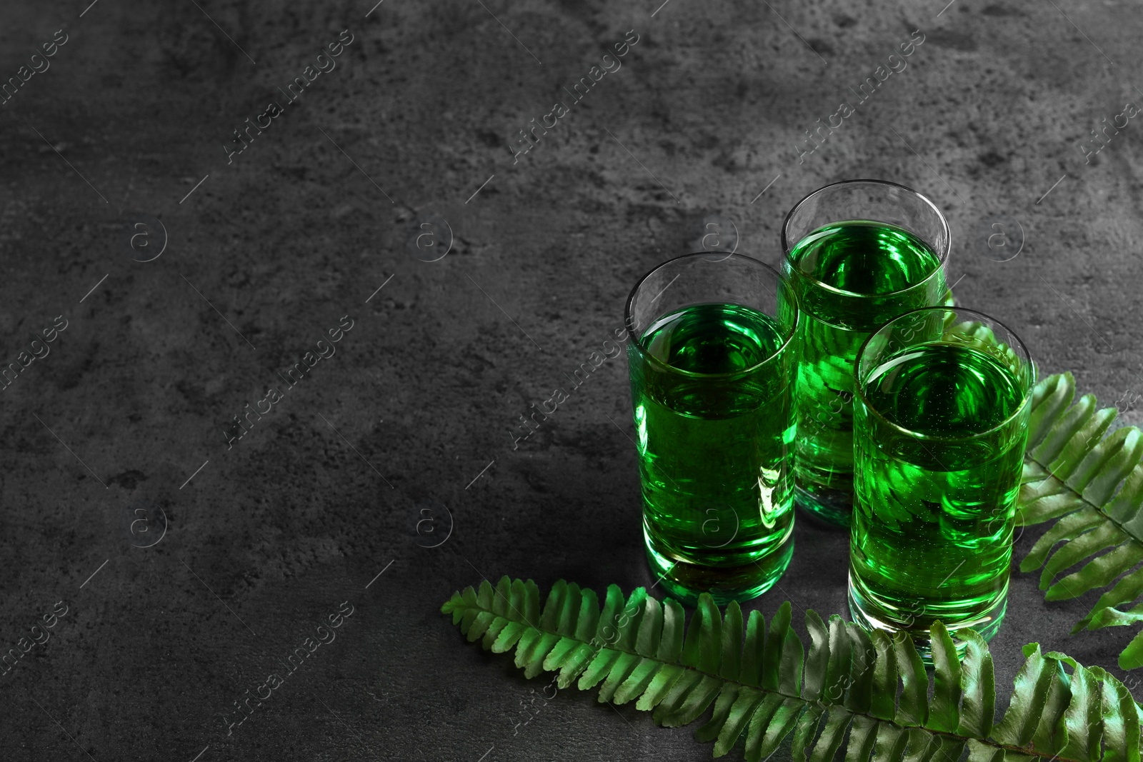 Photo of Absinthe in shot glasses and fern leaves on gray table, space for text. Alcoholic drink