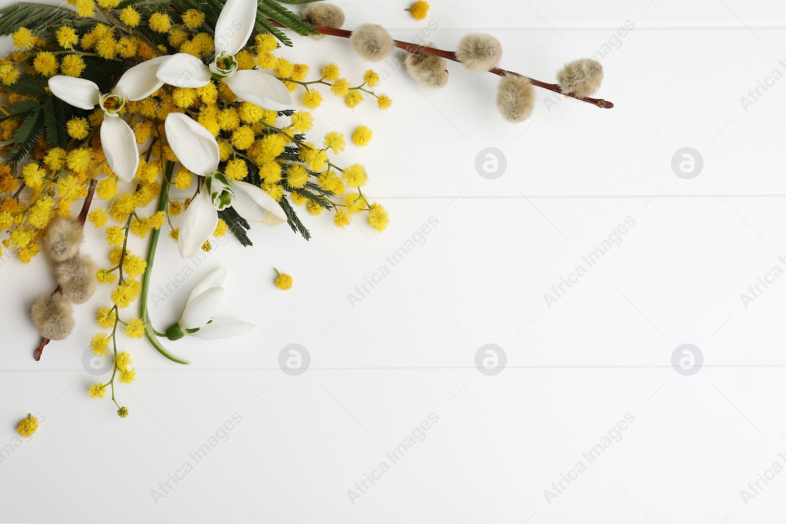 Photo of Beautiful floral composition with mimosa flowers on white wooden background, flat lay. Space for text