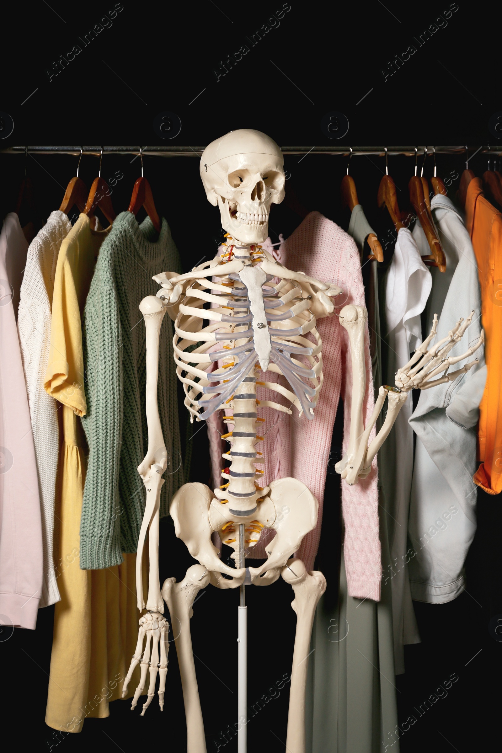 Photo of Artificial human skeleton model among clothes in wardrobe