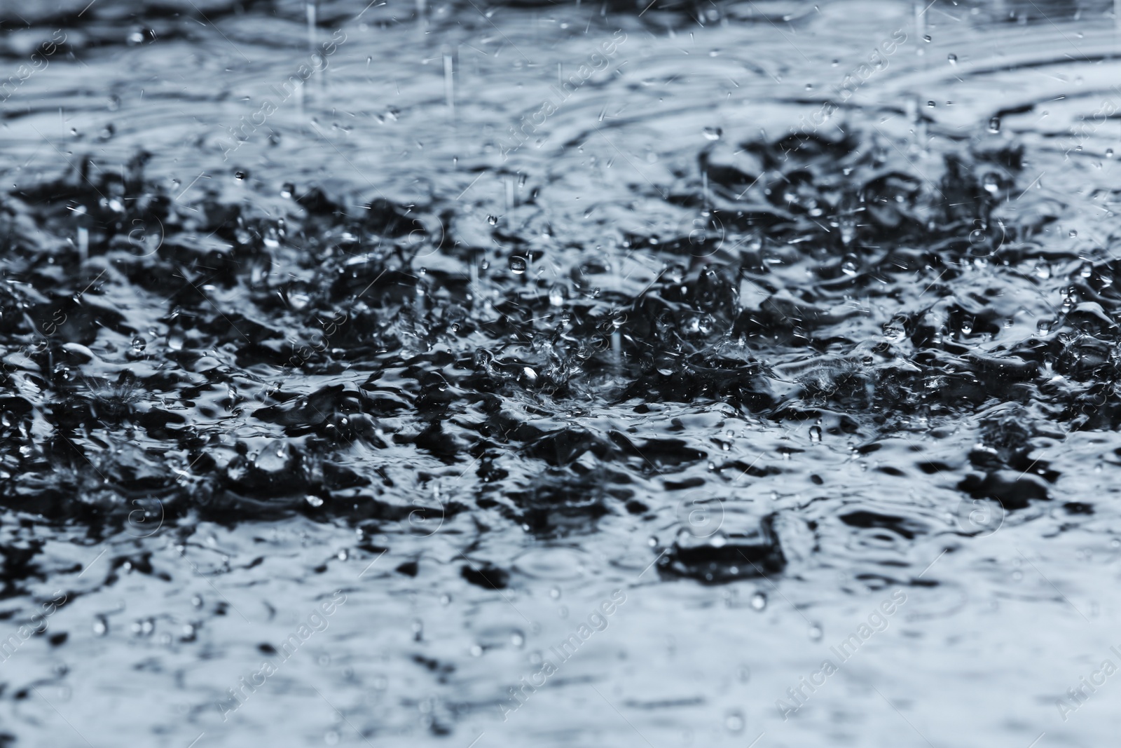 Photo of Heavy rain falling down into puddle outdoors