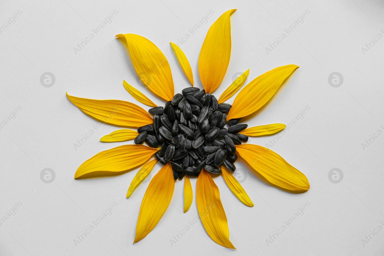 Photo of Flat lay composition with petals and sunflower seeds on white background