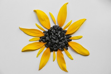 Flat lay composition with petals and sunflower seeds on white background