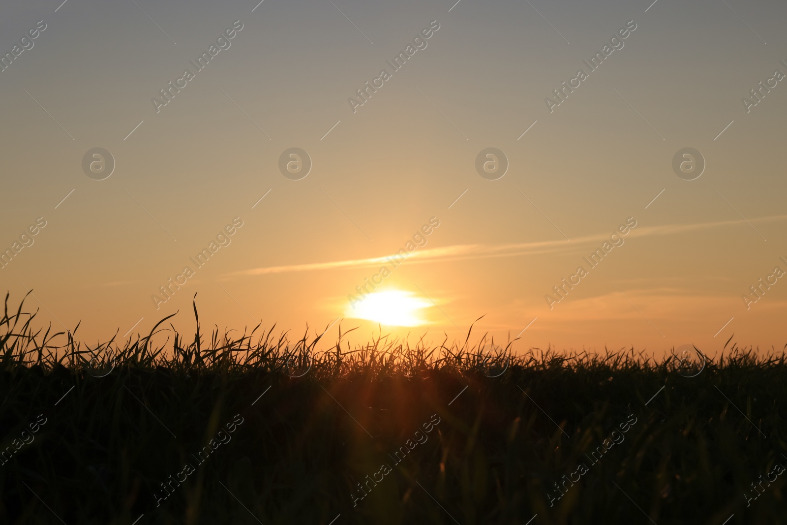 Photo of Picturesque view of beautiful countryside field at sunset