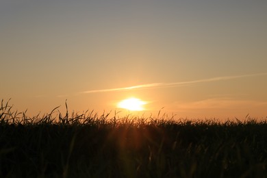 Photo of Picturesque view of beautiful countryside field at sunset