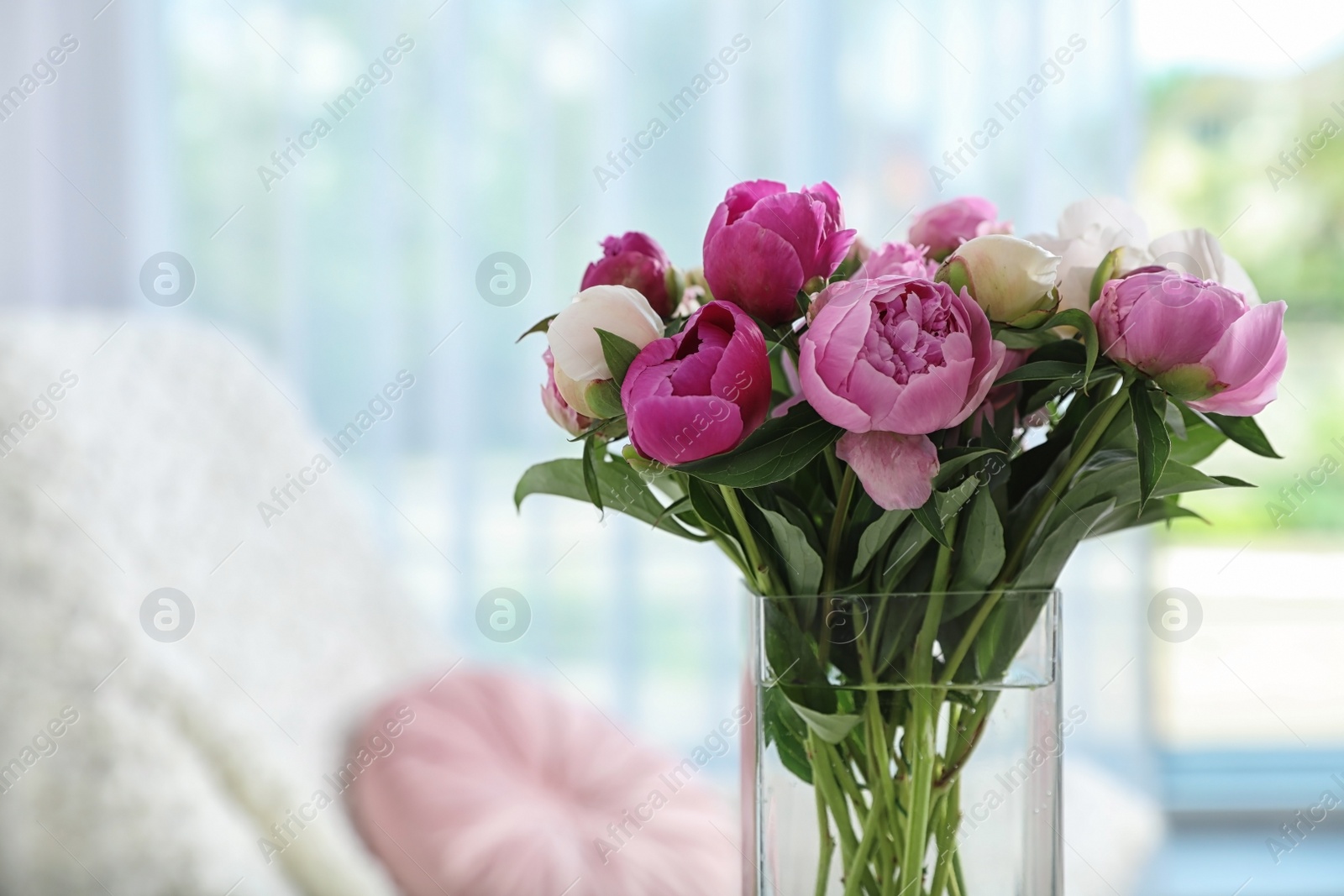 Photo of Vase with bouquet of beautiful peonies in room, space for text