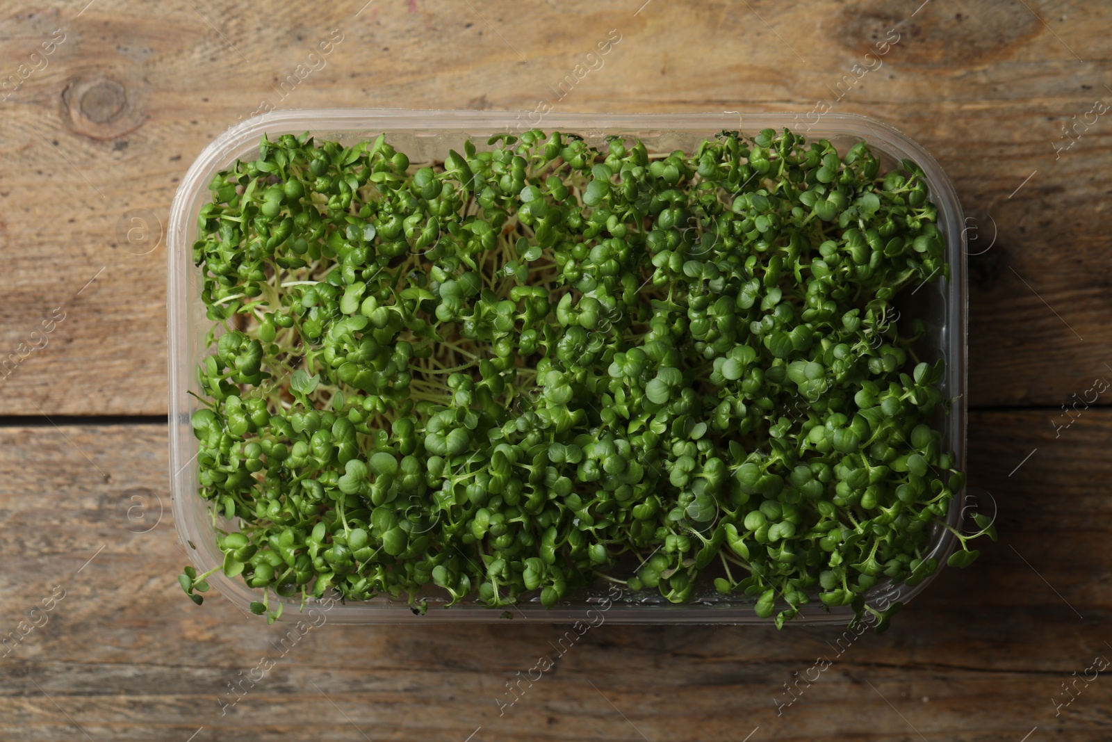 Photo of Sprouted arugula seeds in plastic container on wooden table, top view