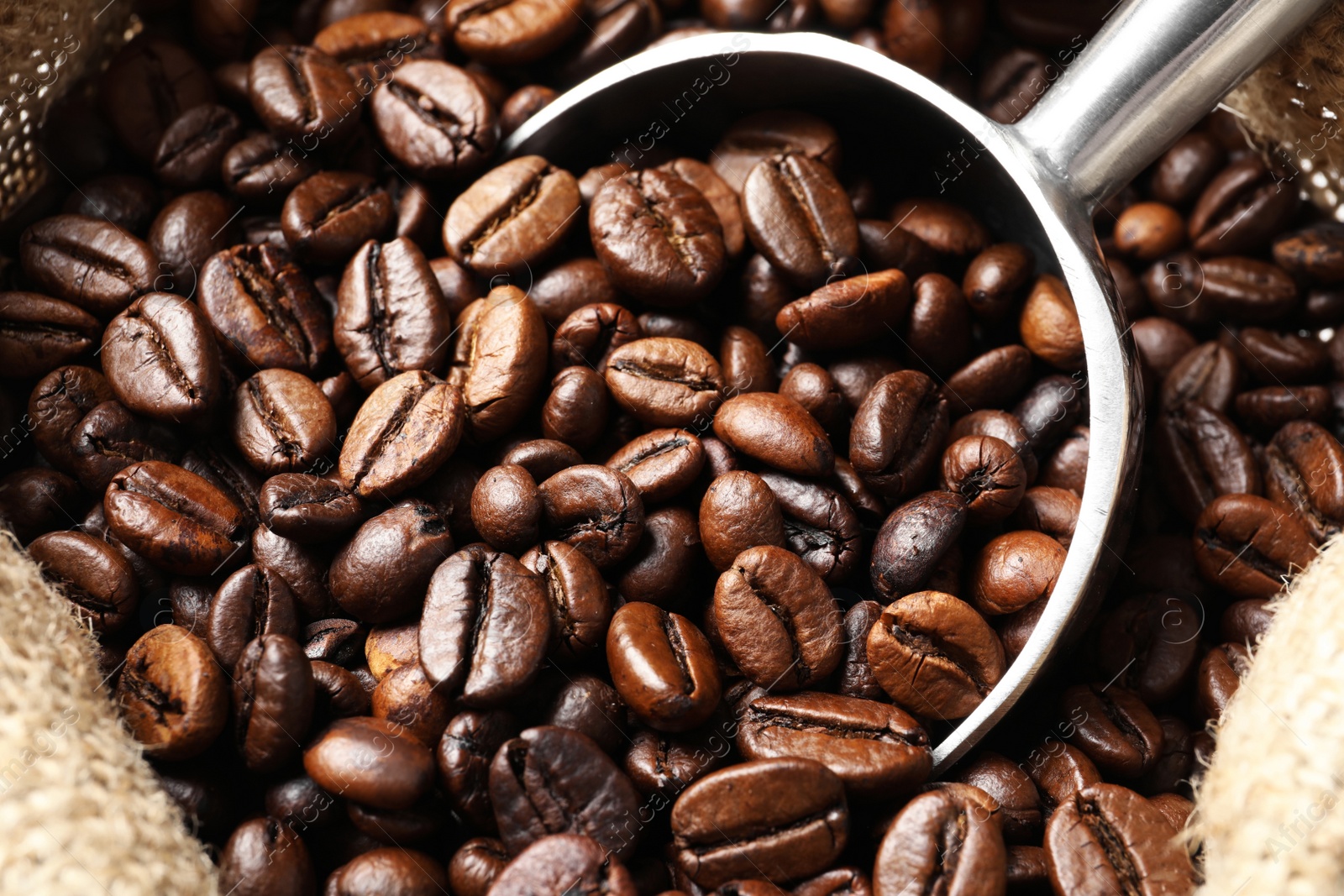 Photo of Bag with scoop and roasted coffee beans, closeup