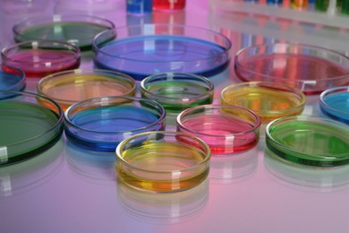 Photo of Petri dishes with different colorful samples on table