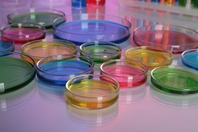 Petri dishes with different colorful samples on table