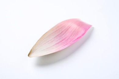 Beautiful pink lotus flower petal isolated on white