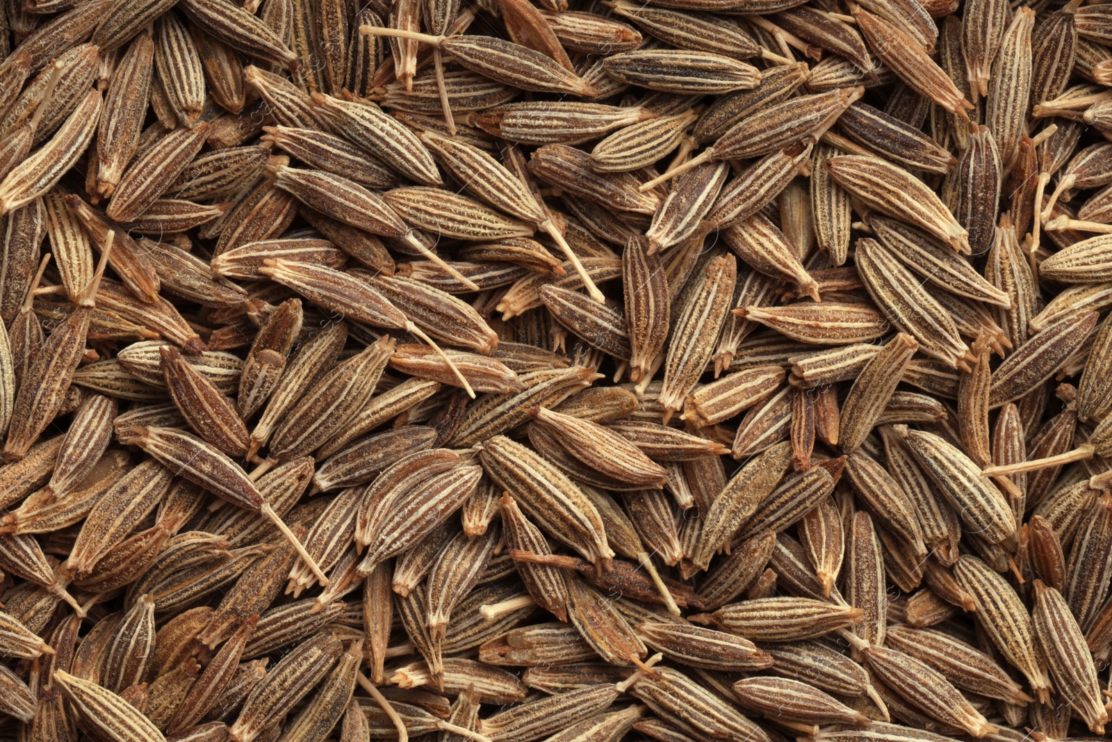 Photo of Aromatic caraway seeds as background, top view