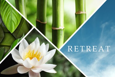 Image of Wellness retreat. Collage with photos of sky, lotus flower, bamboo stems and green leaves
