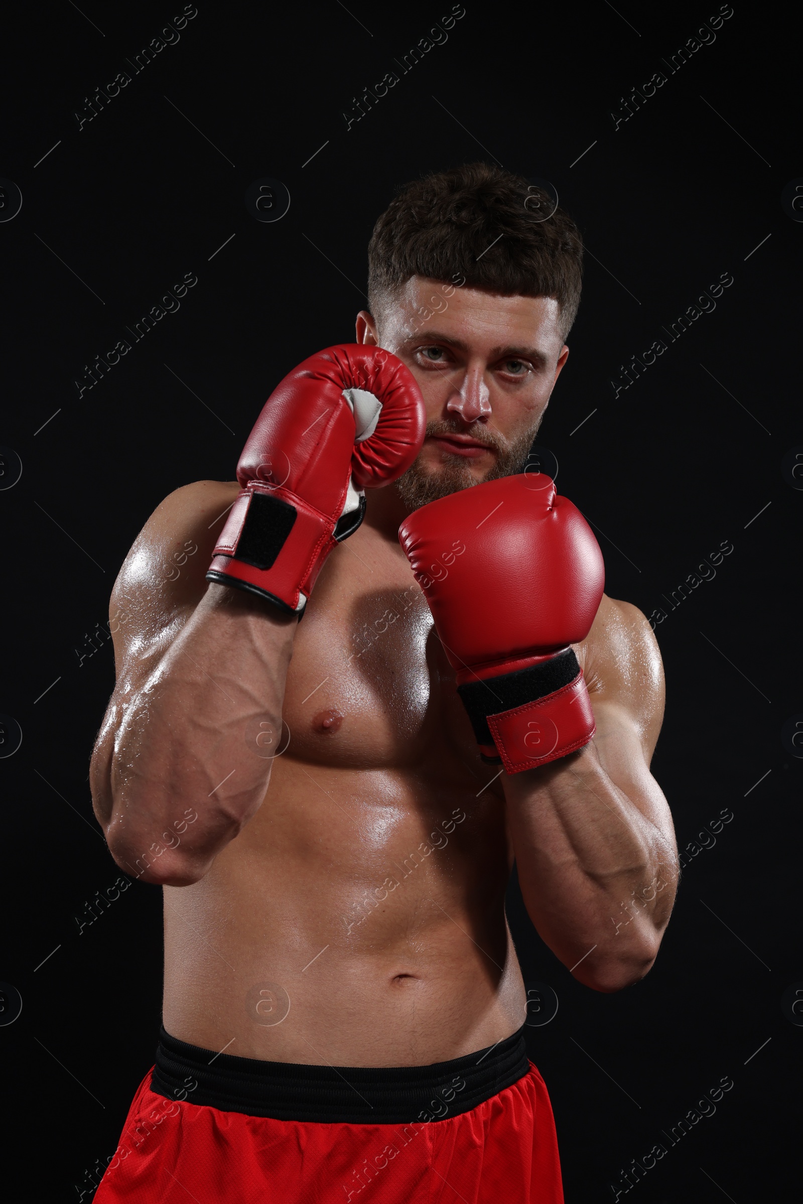 Photo of Man in boxing gloves on black background