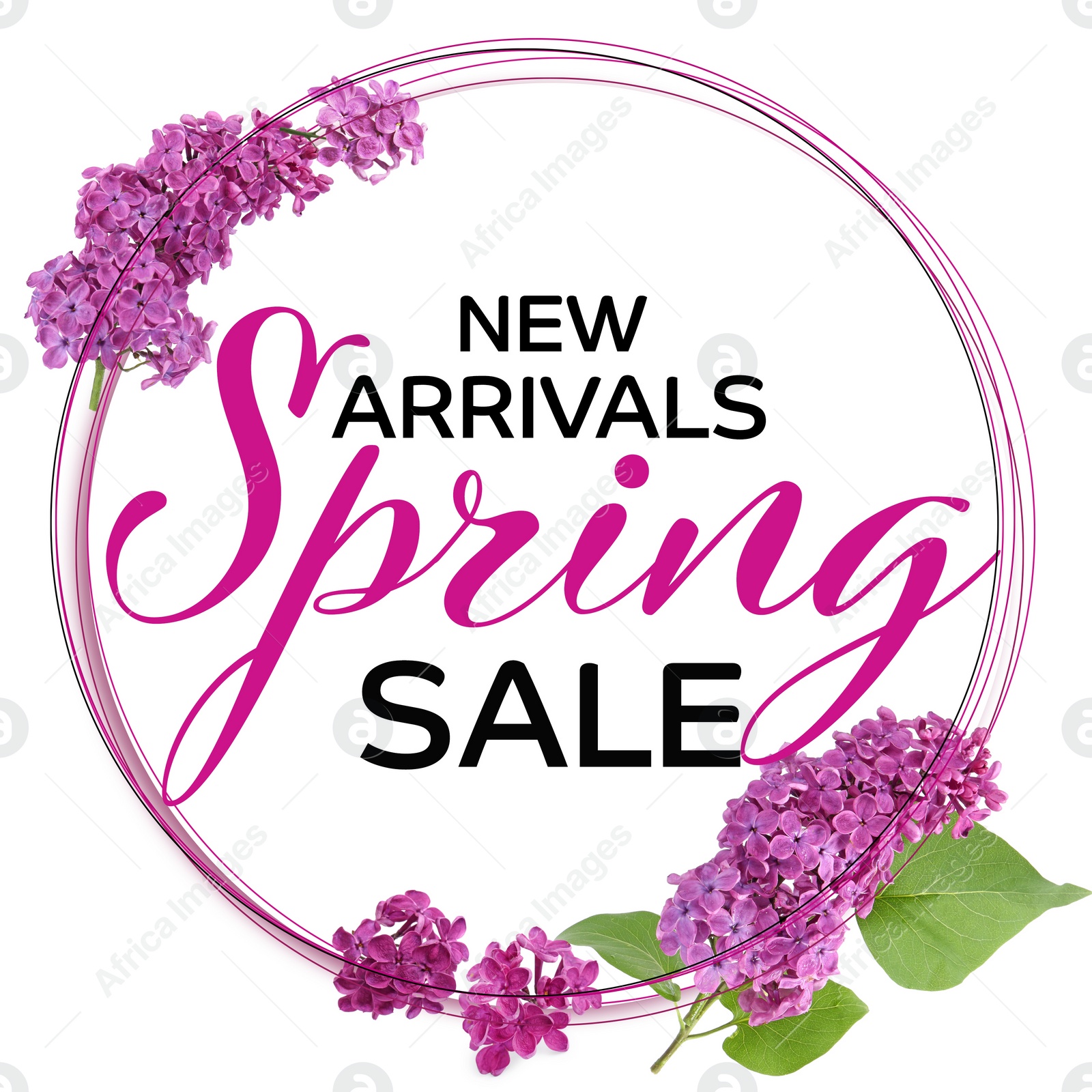 Image of New arrivals. Flyer design with beautiful lilac flowers, green leaves and text Spring Sale on white background