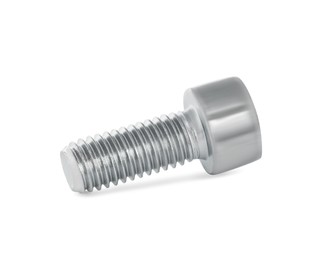 One metal socket bolt isolated on white