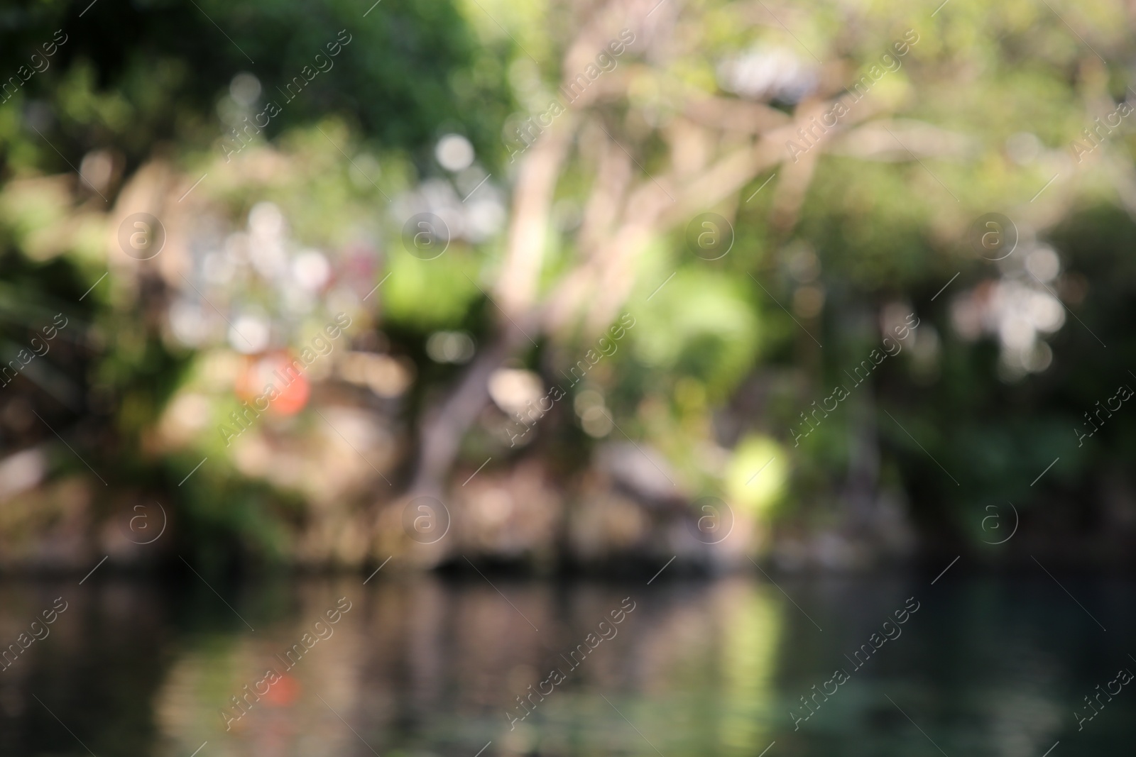 Photo of Blurred view of beautiful lake in jungle