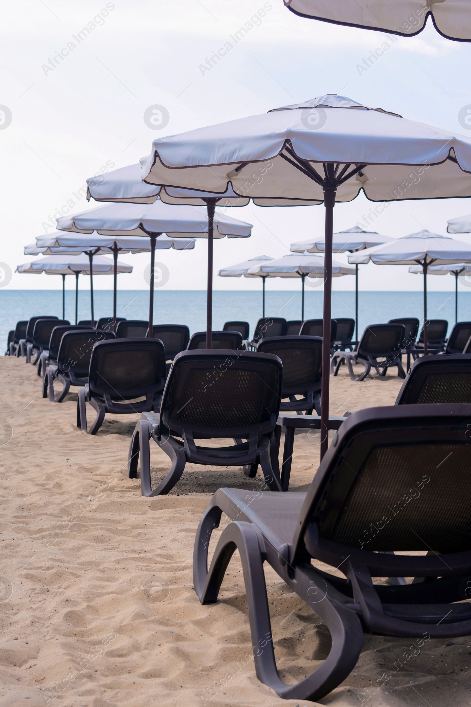 Photo of Many beautiful white umbrellas and black sunbeds on beach