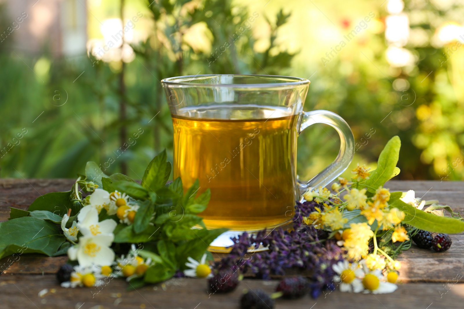 Photo of Cup of hot aromatic tea and different fresh herbs on wooden table outdoors, closeup