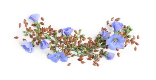 Photo of Flax flowers and seeds on white background, top view