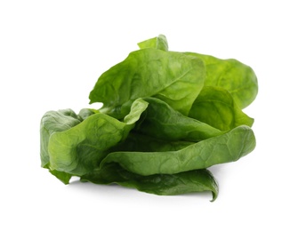 Photo of Bundle of fresh spinach isolated on white