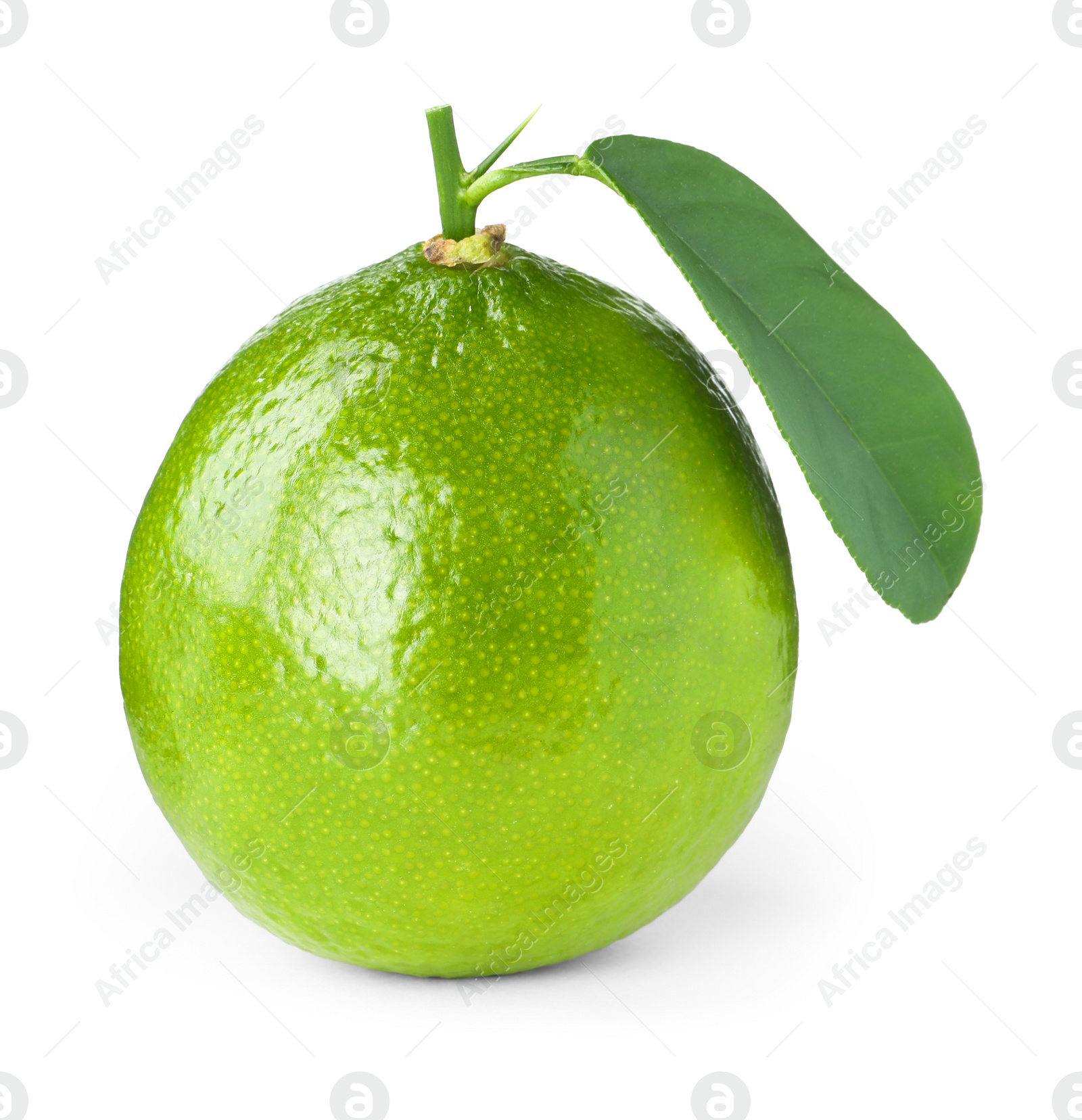 Photo of Fresh green ripe lime with leaf isolated on white