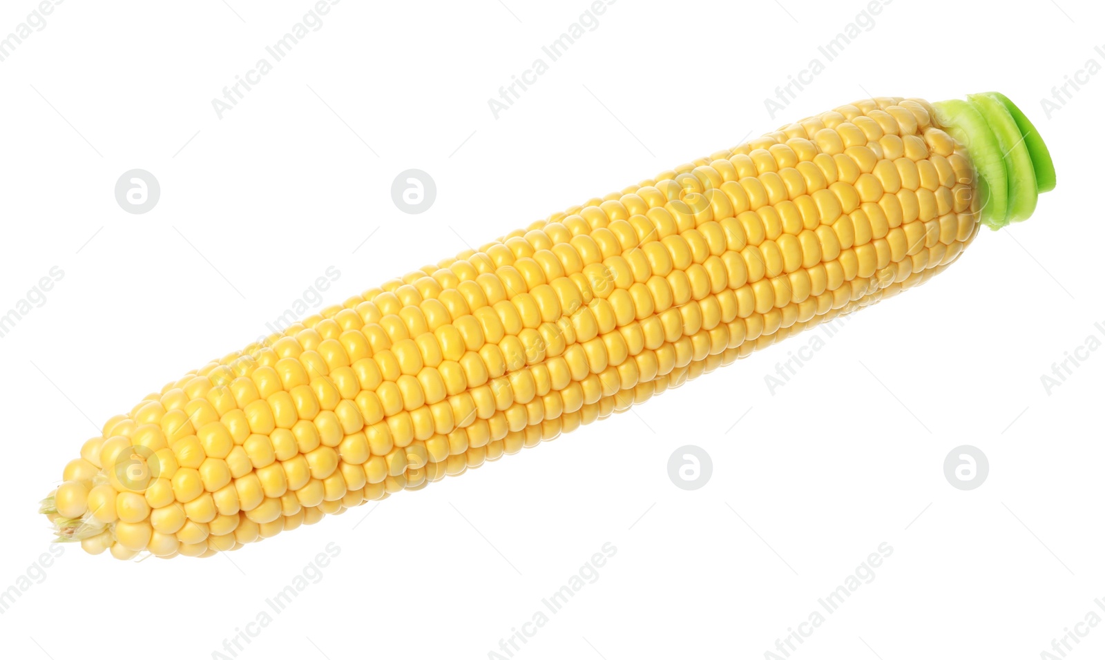 Photo of Ripe raw corn cob isolated on white