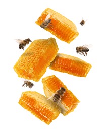 Pieces of honeycomb in air and bees flying on white background