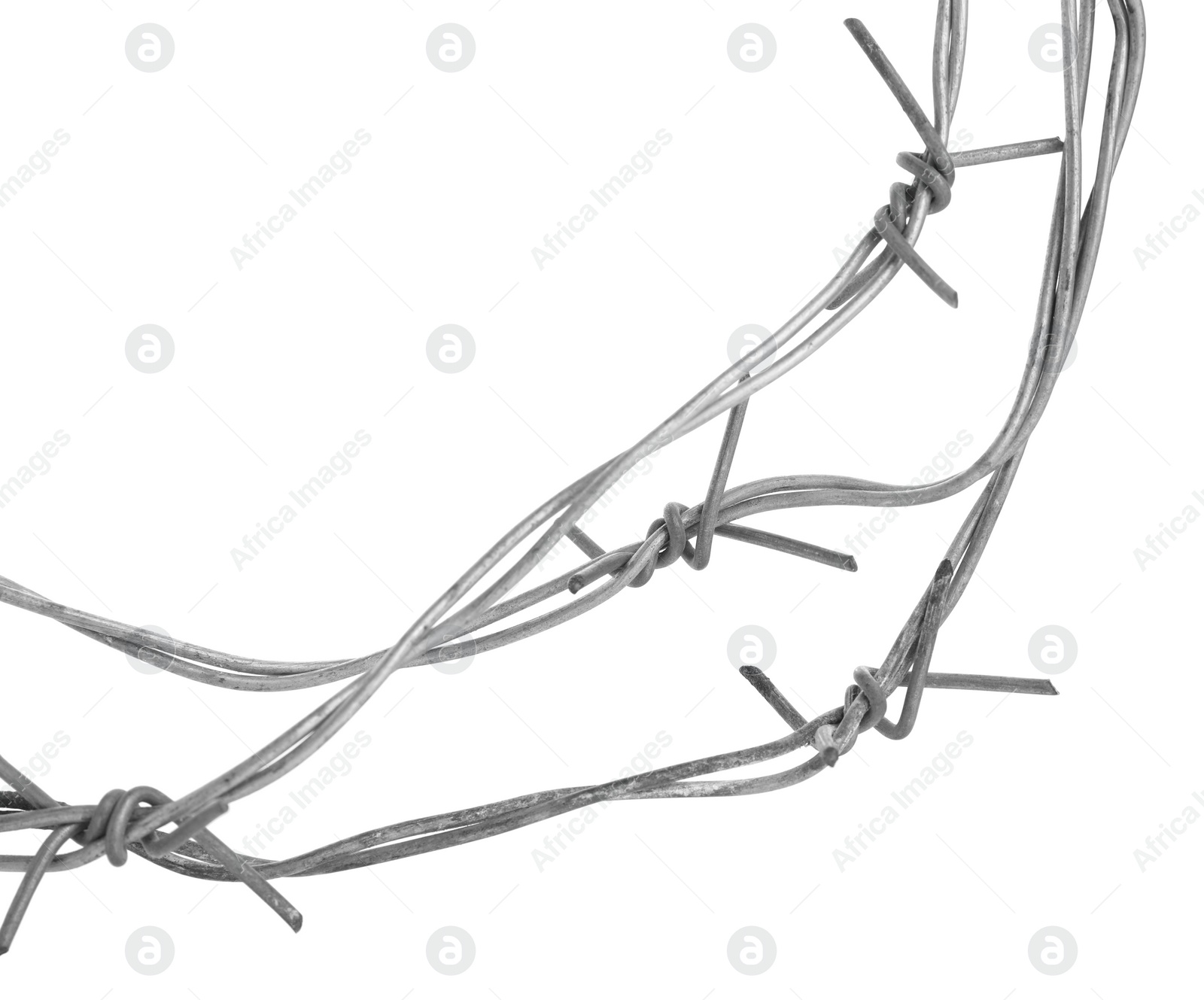 Photo of Shiny metal barbed wire isolated on white