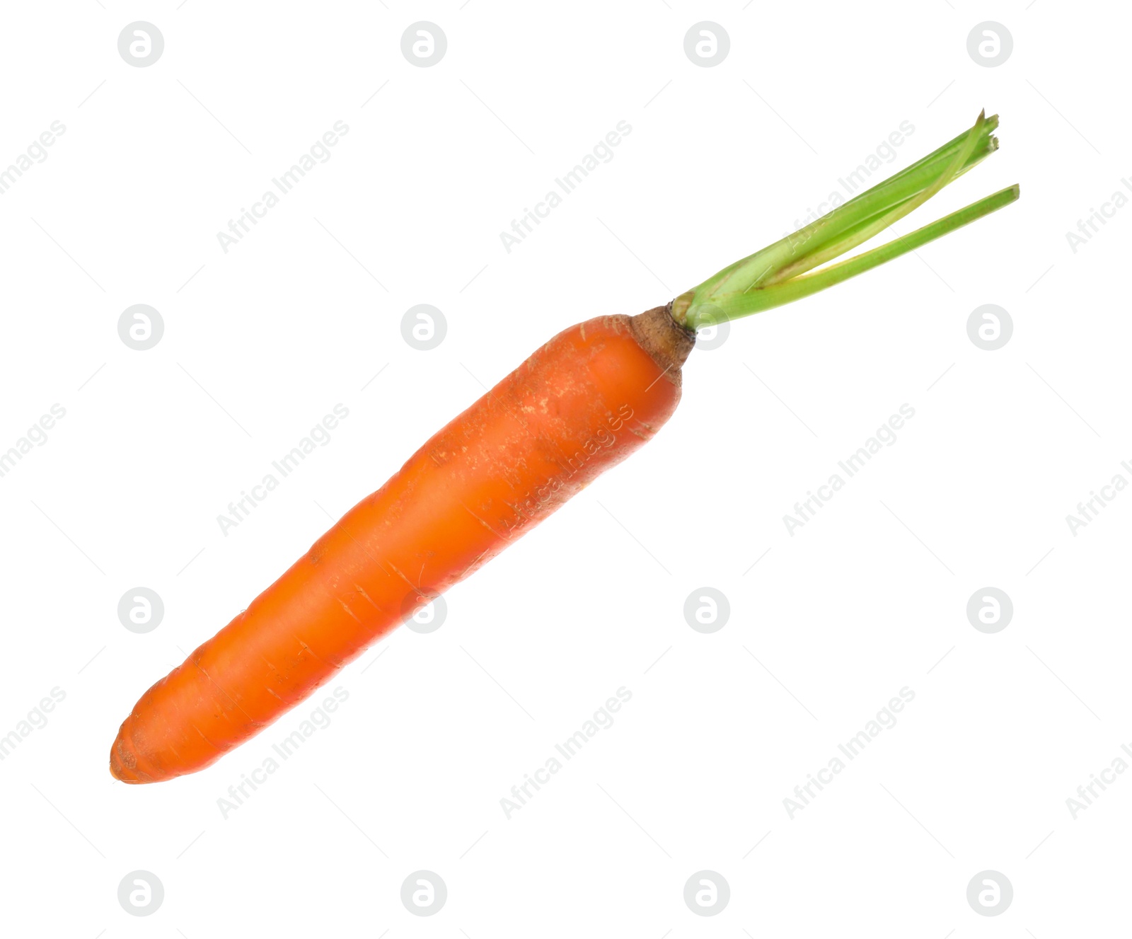 Fresh ripe juicy carrot isolated on white Photo of Fresh ripe juicy carrot isolated on white