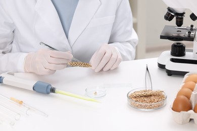 Photo of Quality control. Food inspector examining wheat spikelet in laboratory, closeup