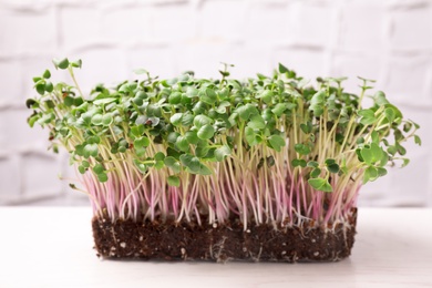 Photo of Fresh organic microgreen sprouts on white table, closeup