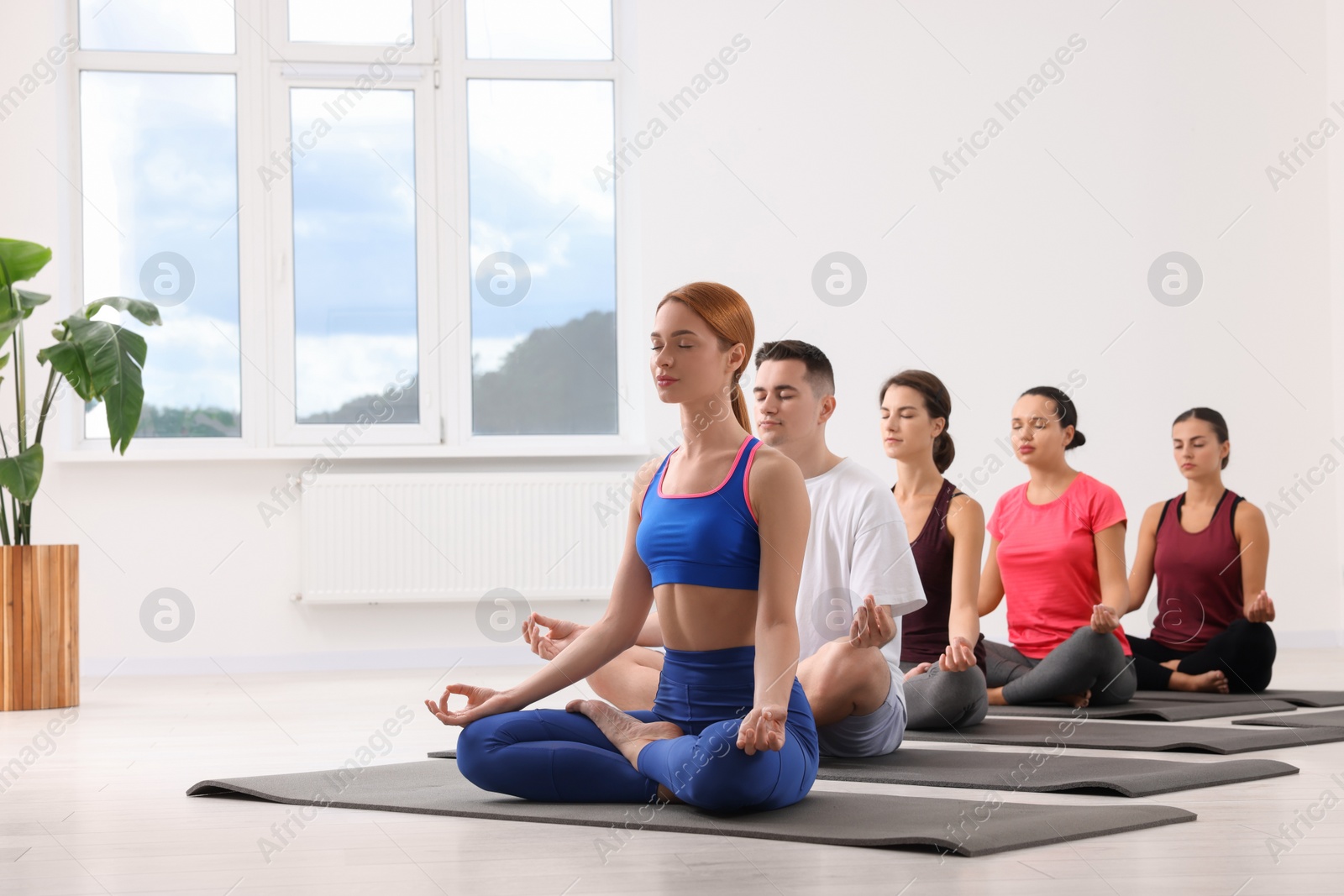 Photo of Group of people practicing yoga on mats indoors, space for text