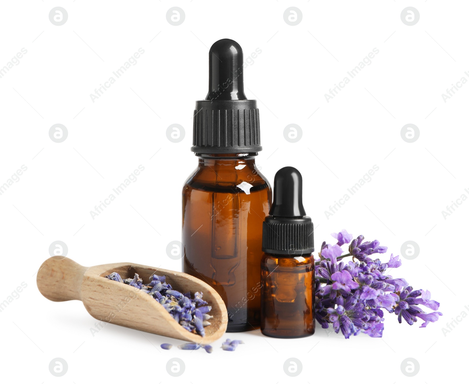 Photo of Bottles of essential oil and lavender flowers on white background