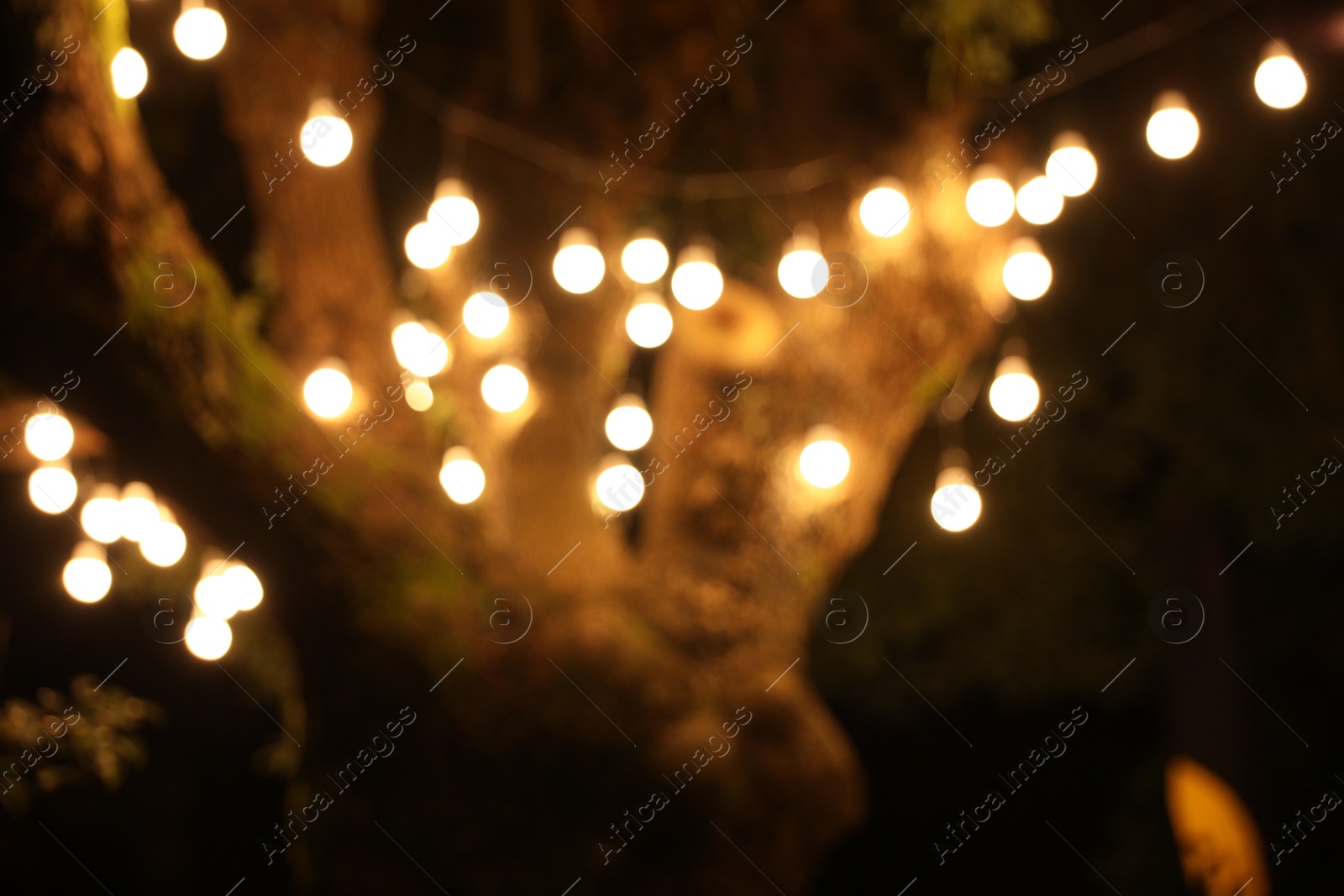 Photo of Blurred view of tree with lights at night