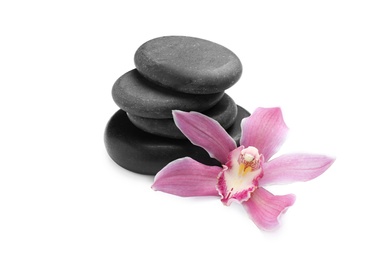 Photo of Beautiful orchid flower and spa stones on white background